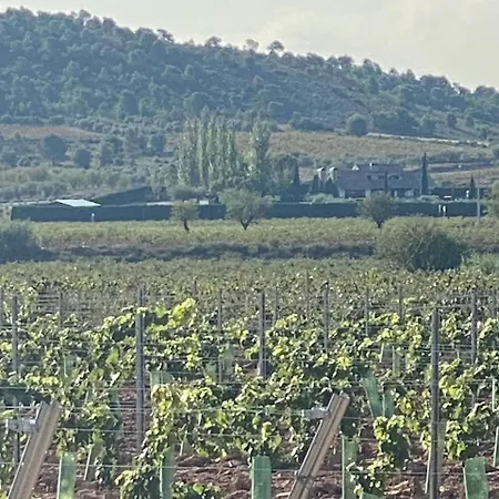 La Traviesa Villa Requena